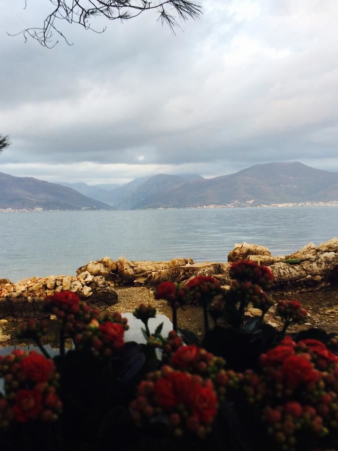 Дома для отпуска Krasici Green House Тиват-38