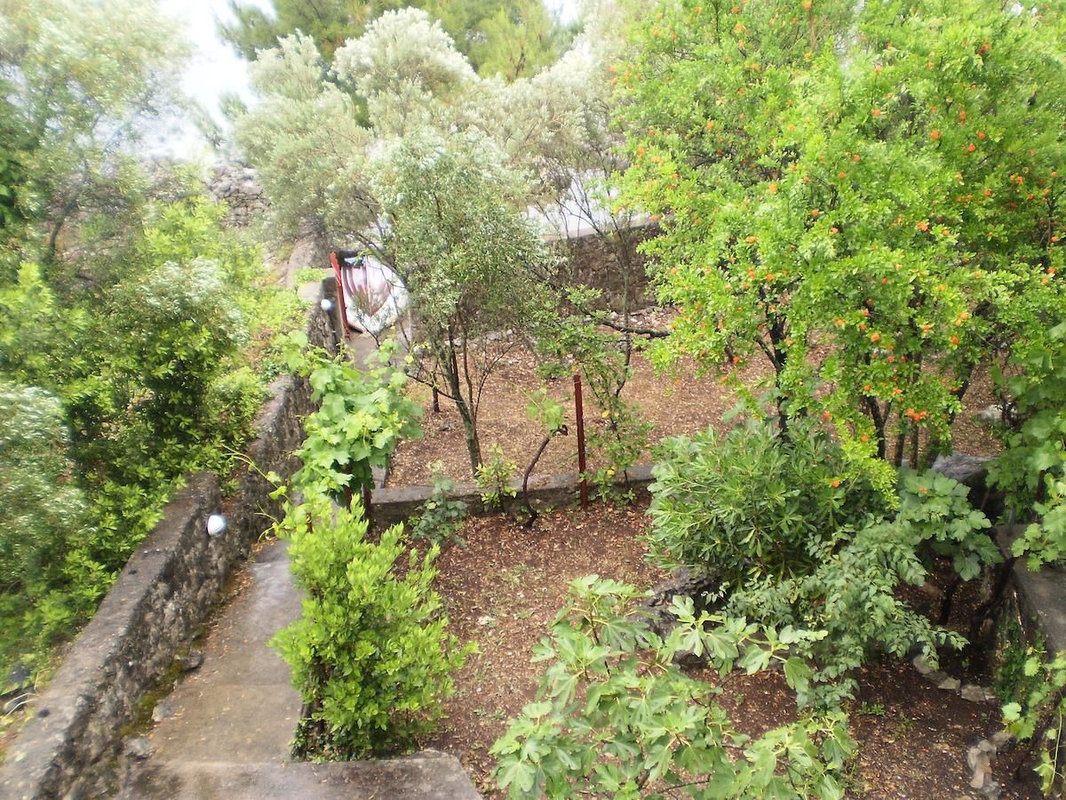 Дома для отпуска Krasici Green House Тиват-46