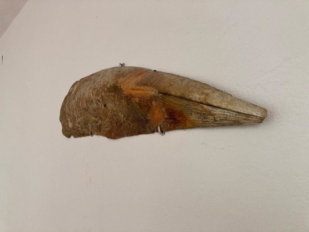 Дома для отпуска Krasici Green House Тиват-65