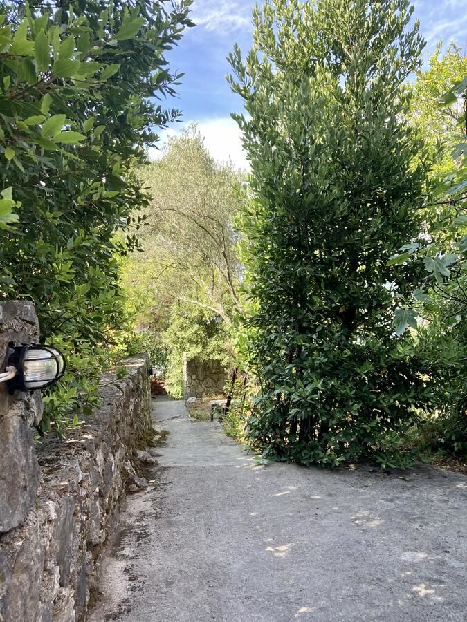 Дома для отпуска Krasici Green House Тиват-10