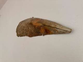 Дома для отпуска Krasici Green House Тиват Двухуровневый дом располагает четырьмя спальнями и террасой и видом на море.-46